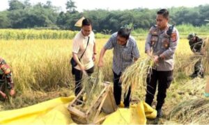 Lewat Bertani Kapolsek Panongan Gerakkan Ekonomi Warga Panongan Tangerang