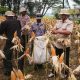 Kontribusi Nyata Satreskrim Polres Karawang Dorong Produktifitas Lahan Perkuat Ketahanan Pangan