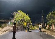 Bersinergi Atasi Pohon Tumbang, Polisi Bersama BPBD, PLN, dan Masyarakat Amankan Jalur Raya Cinangka